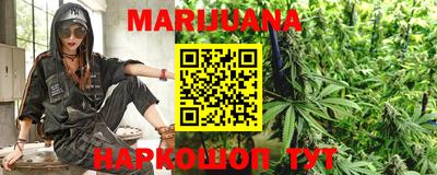 дживик Моздок